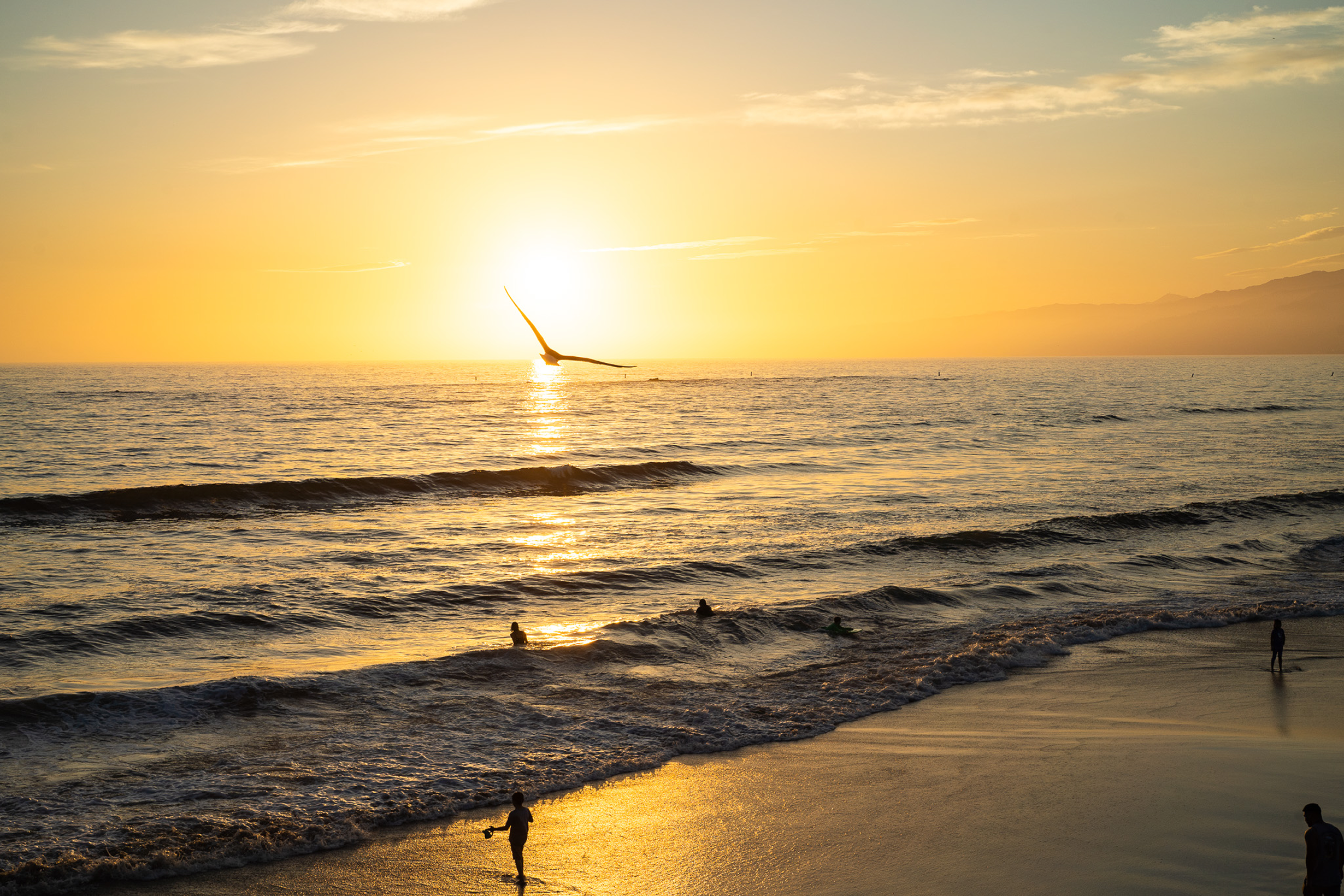 ロサンゼルスにて